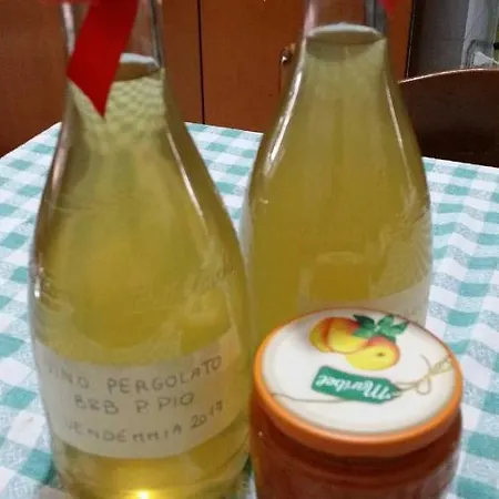 Alojamento de Acomodação e Pequeno-almoço Padre Pio